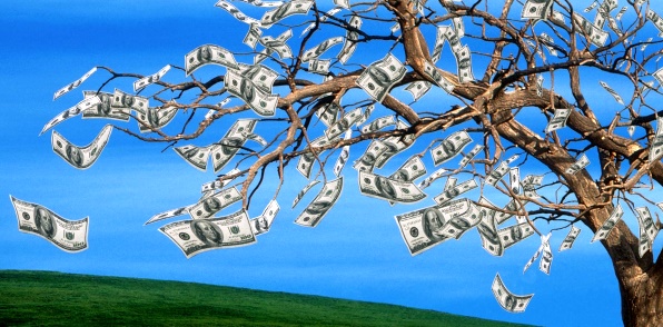 к чему снится денежное дерево