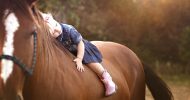 К чему снится обнимать лошадь