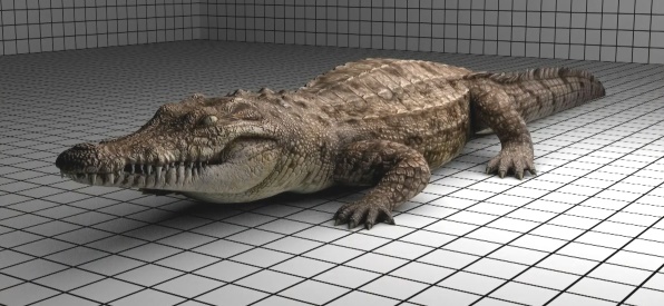 к чему снится крокодил дома