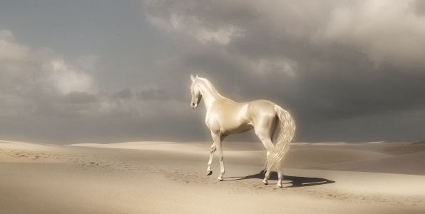 к чему снятся красивые лошади