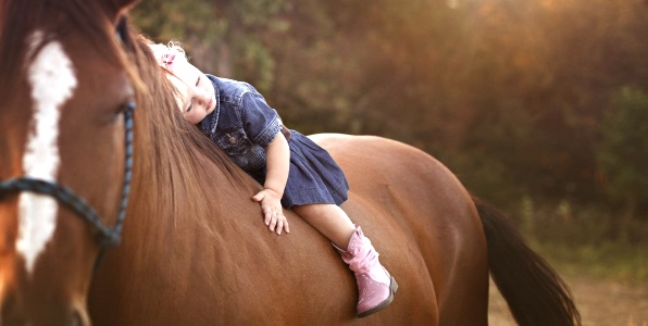 к чему снится обнимать лошадь